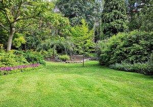 Optimiser l'expérience du jardin à Fourneaux-le-Val